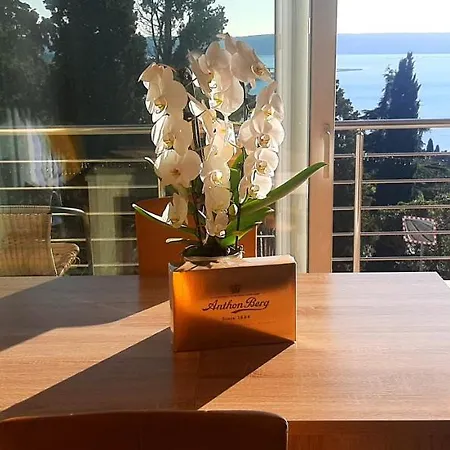 Red Rose Daire Portorož