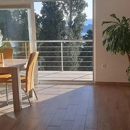 Red Rose * Portorož