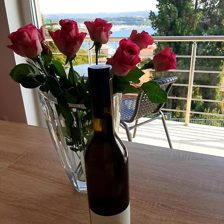 Red Rose Apartment *