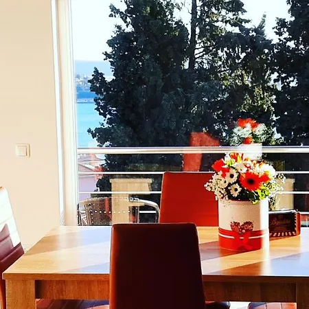 Red Rose Portoroz