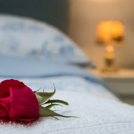 Red Rose * Portoroz